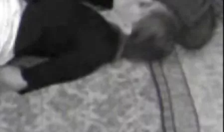 Chasseurs چت سکسی شهوتناک De Veuves
