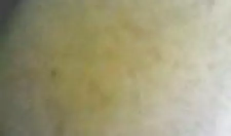 پرستار شایان ستایش چت سکسی شهوتناک ژاپنی آلت تناسلی سخت دوست پسر را مالش می دهد